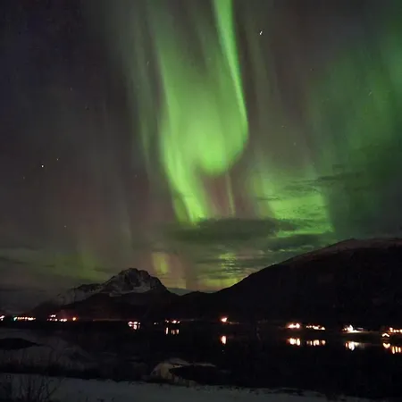 Nappstraumen Seaview * Haug