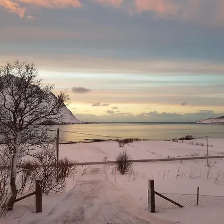 Nappstraumen Seaview * Haug